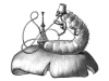 caterpillar